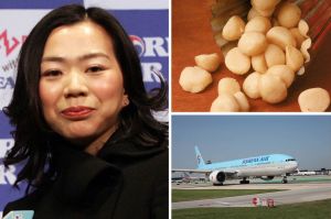 Korean-Air-Macadamia-Nuts